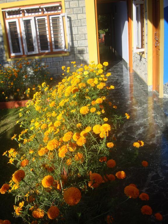 Nanohana Lodge Pokhara Zimmer foto